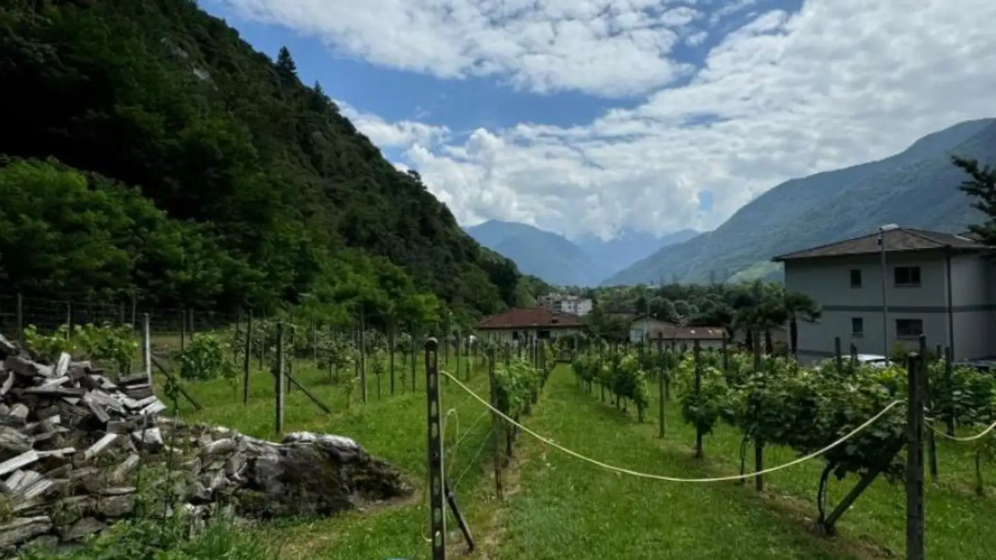 Constructible plot for sale - 6705 Cresciano - Photo 2
