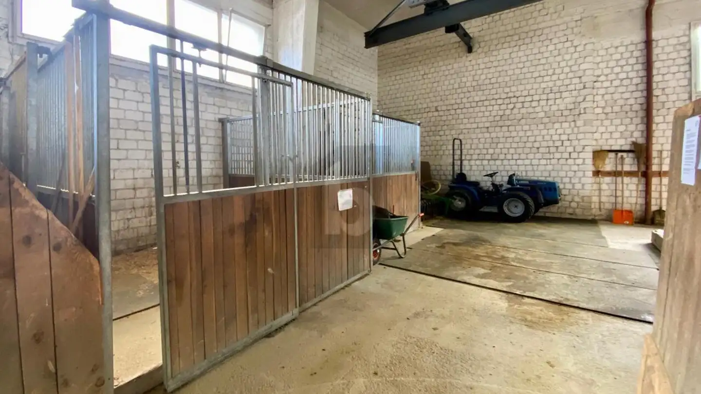 Commercial for sale - 7166 Trun - Photo 3