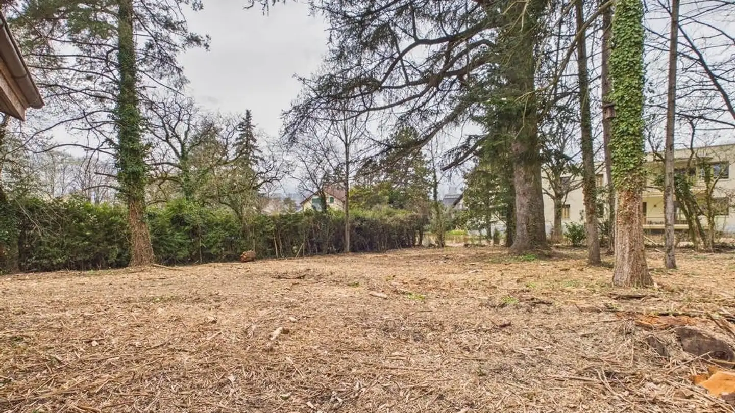 Constructible plot for sale - 1213 Petit-Lancy - Photo 4