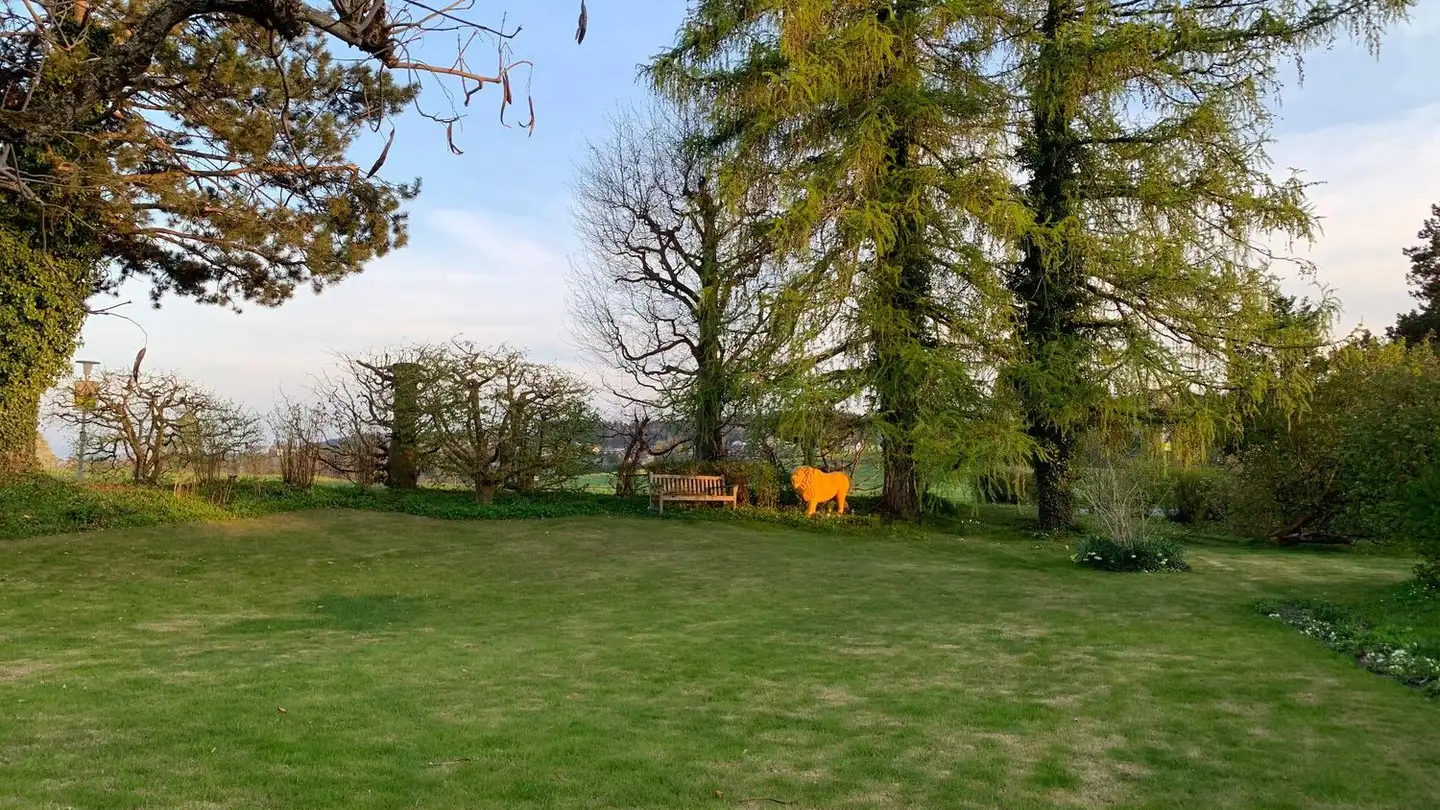 Single house for rent - 8118 Pfaffhausen - Photo 4