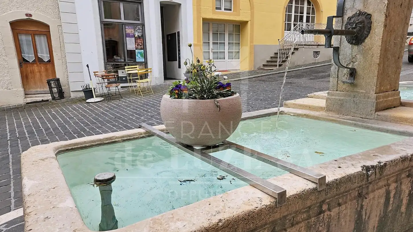 Casa singola in vendita - 1170 Aubonne - Foto 4