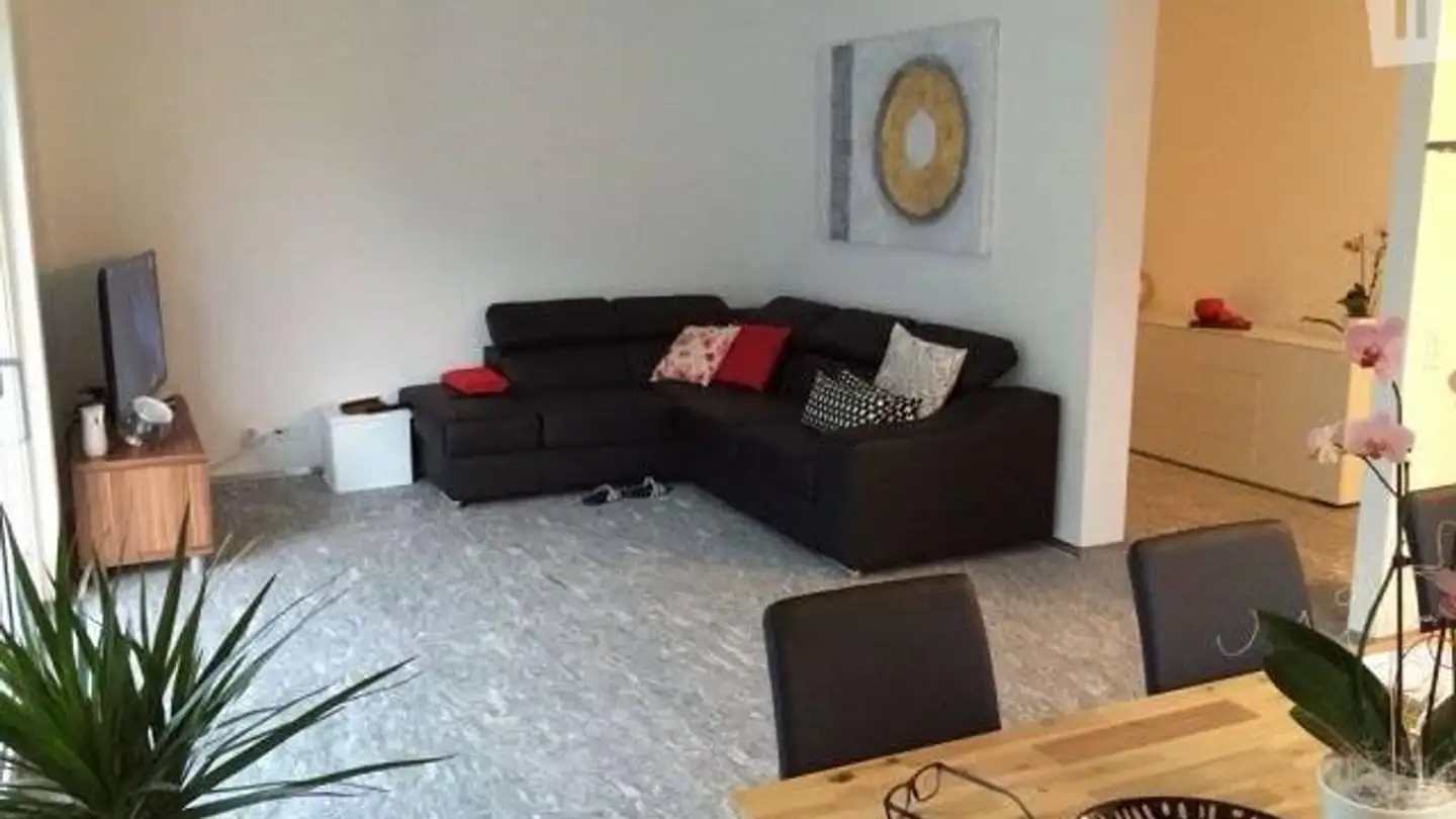 Wohnung mieten - Via Ai Ronchi 30, 6533 Lumino - Foto 3