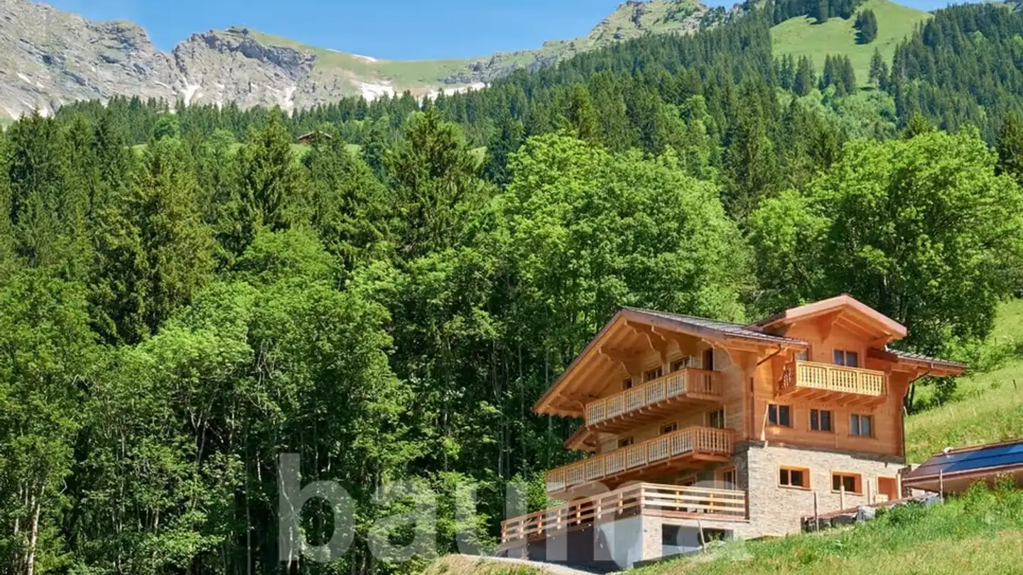 Maison individuelle à vendre - Les Diablerets, 1865 Les Diablerets - Photo 2