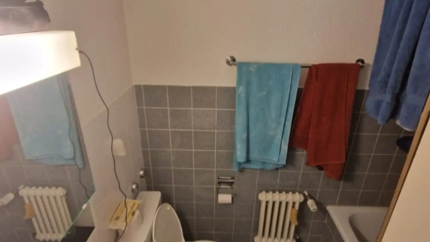 Chambre à louer - Imbisbühlstrasse 12, 8049 Zürich - Photo 4