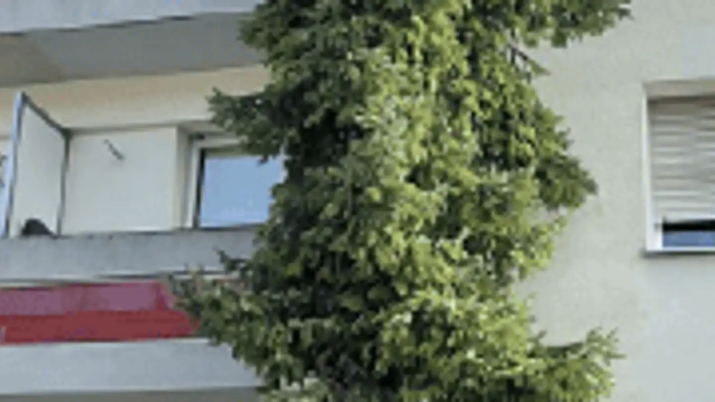 Apartment for sale - Göschenenstrasse 53, 4054 Basel