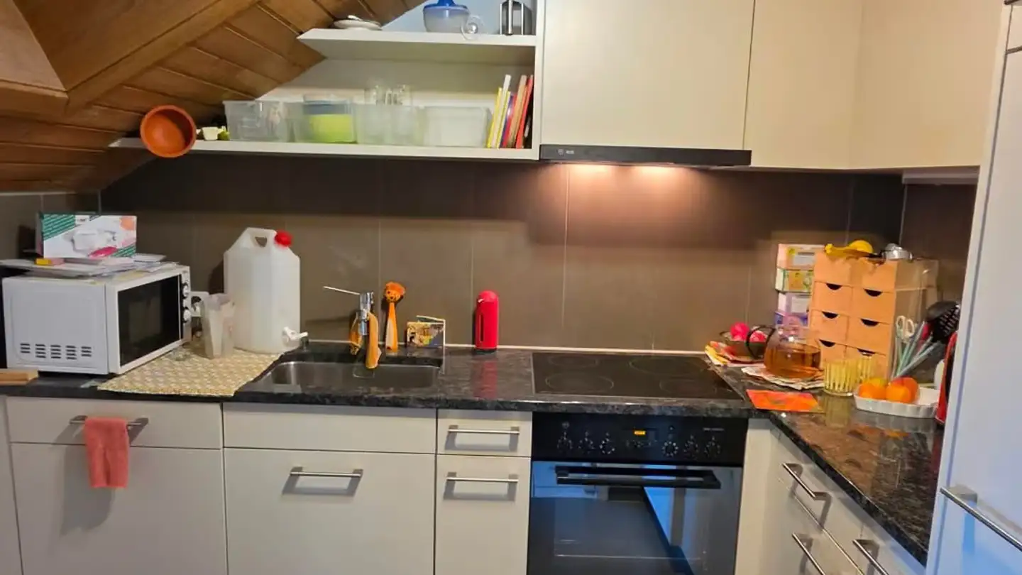 Duplex in affitto - Neudorfstrasse 9, 8820 Wädenswil - Foto 4