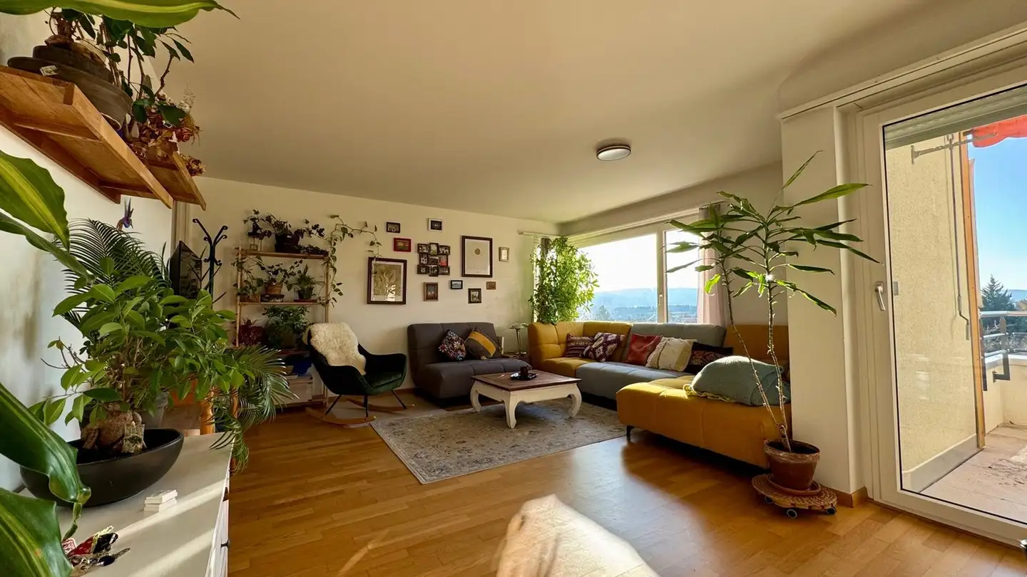 Appartamento in affitto - 8102 Oberengstringen