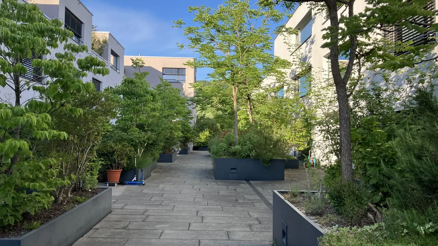 Appartamento in affitto - Spitzmattstrasse, 5210 Windisch - Foto 2