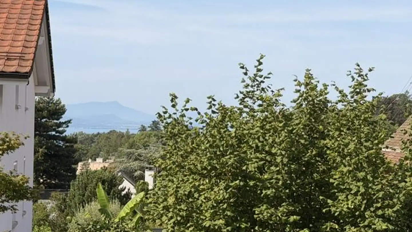 Appartement à vendre - 1012 Lausanne - Photo 4