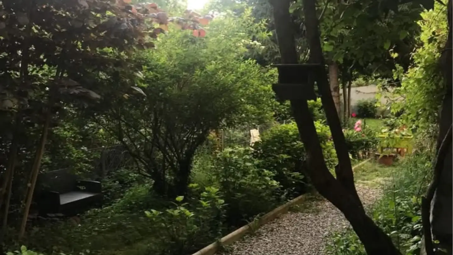 Appartement à louer - 1012 Lausanne