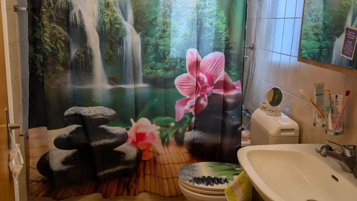 Wohnung mieten - Goldauerstrasse 1, 6416 Steinerberg - Foto 4