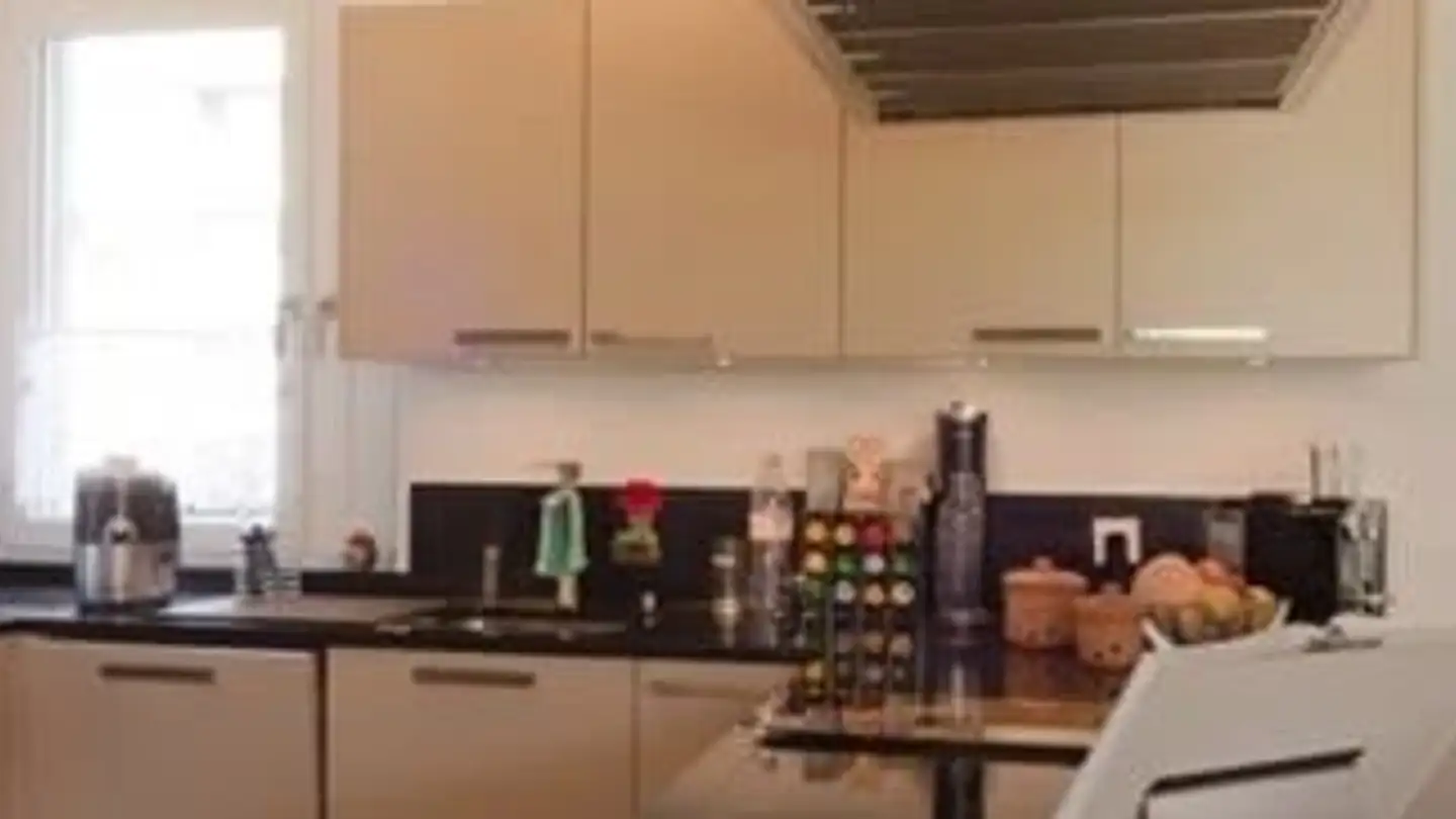 Appartamento in affitto - Mühlackerstrasse 115, 8046 Zürich - Foto 3