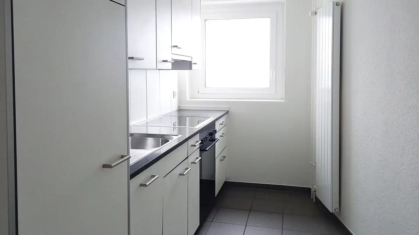 Appartamento in affitto - Grosswiesenstrasse 153, 8051 Zürich - Foto 2