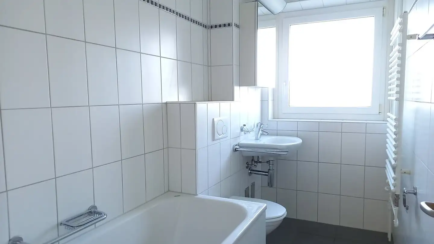 Appartamento in affitto - Grosswiesenstrasse 153, 8051 Zürich - Foto 3