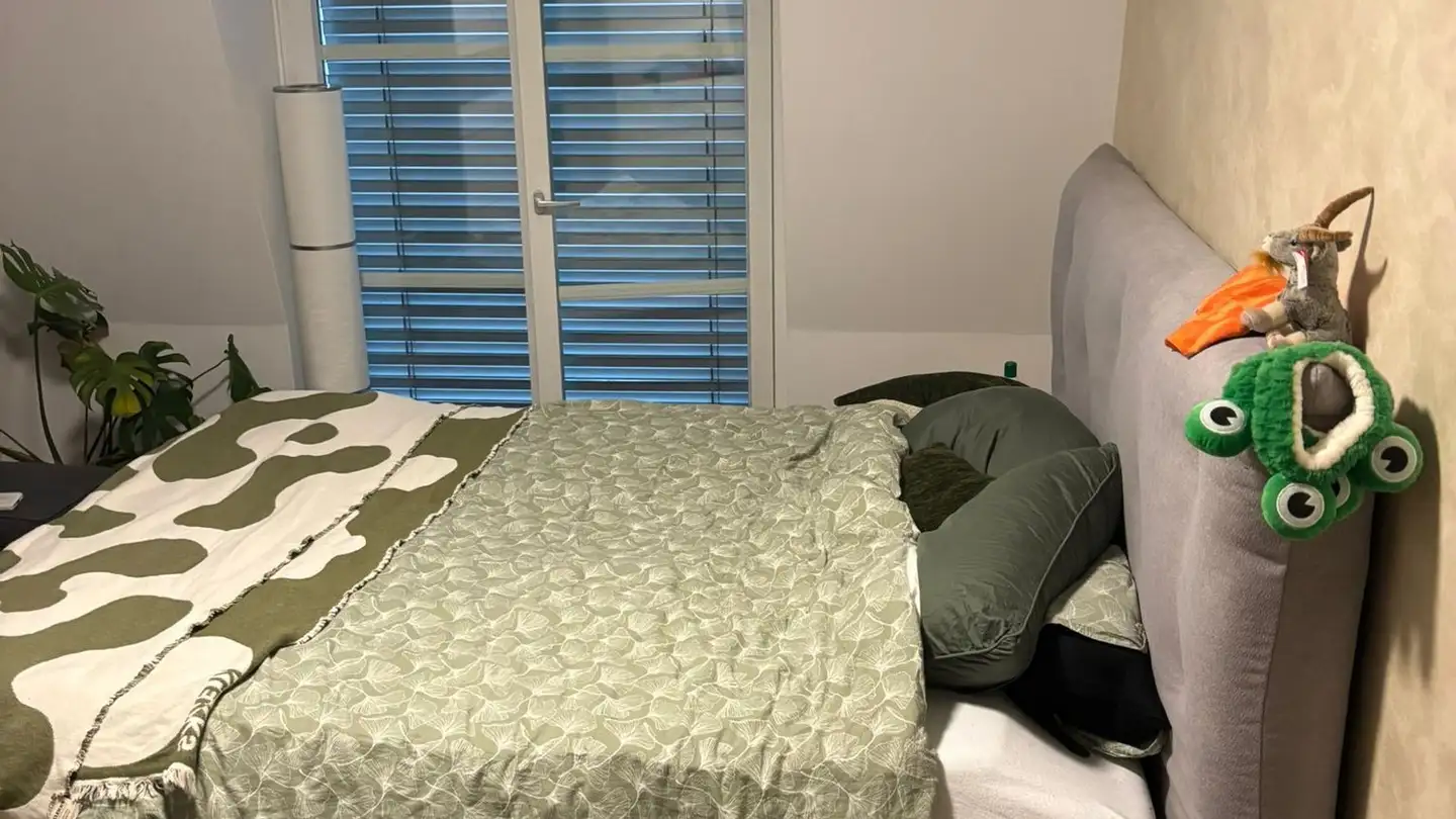 Chambre à louer - Bruggerstrasse 9b, 5103 Wildegg