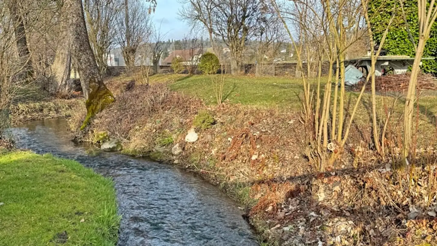 Apartment for sale - Badmattstrasse 7, 4932 Lotzwil - Photo 2