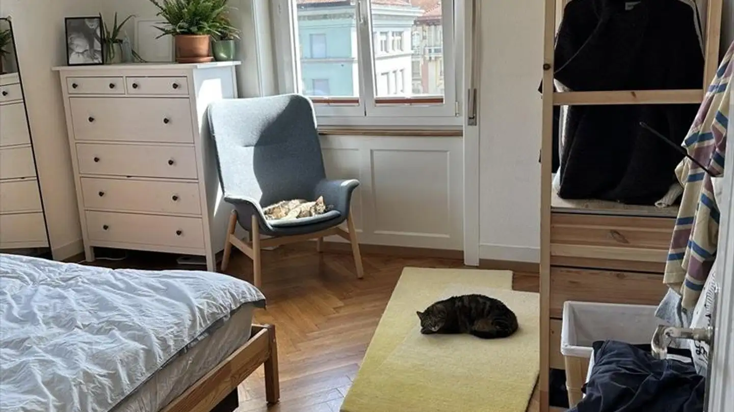 Appartement à louer - Rue Frédéric-Chaillet 3, 1700 Fribourg - Photo 3