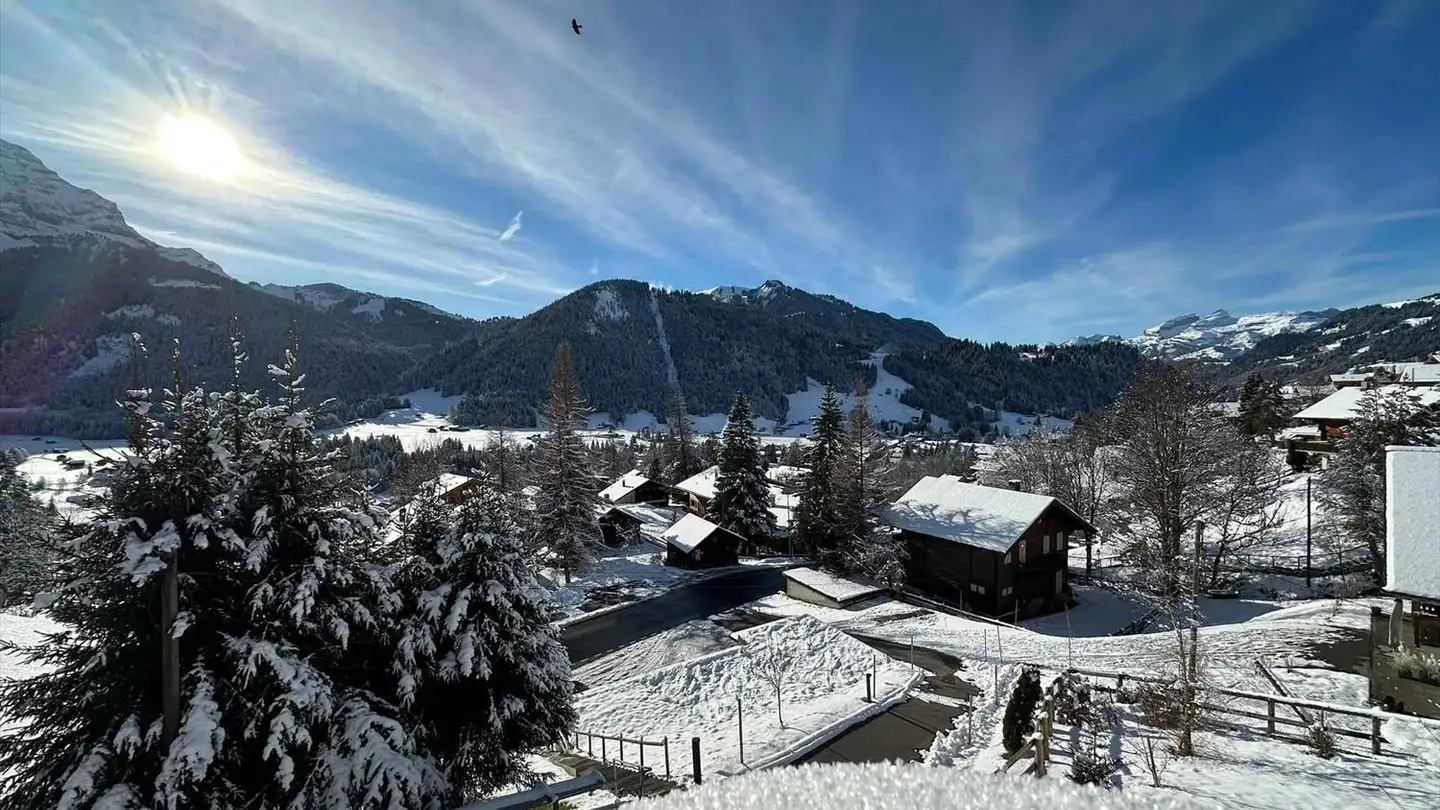 Villa à vendre - Les Diablerets, 1865 Les Diablerets - Photo 4