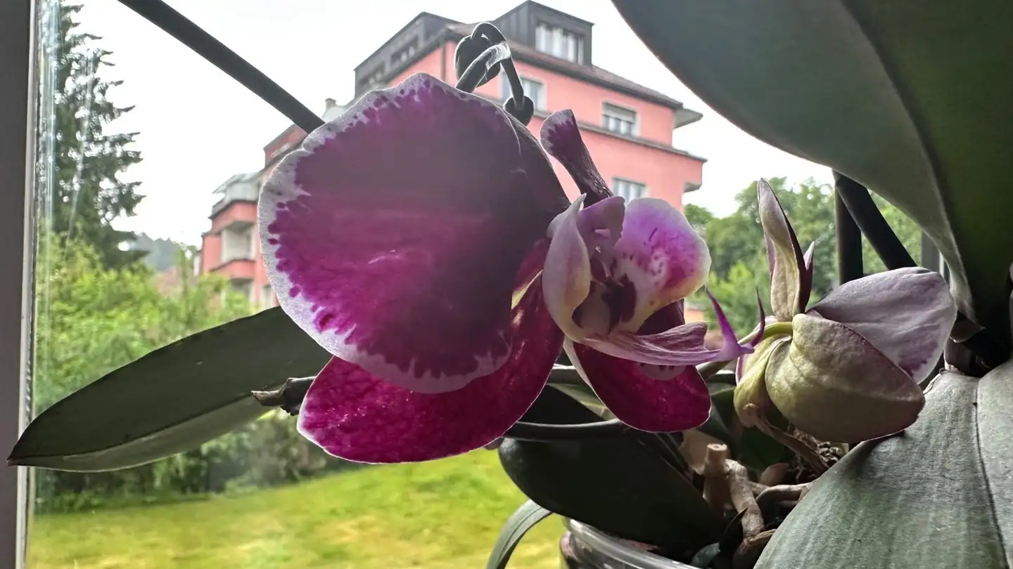 Wohnung mieten - 6003 Luzern