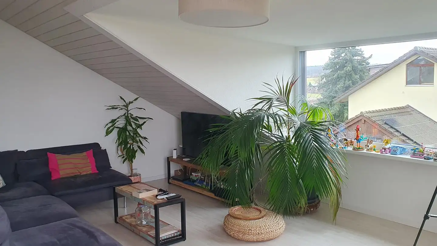 Single house for rent - Tellerweg 24, 4102 Binningen - Photo 4