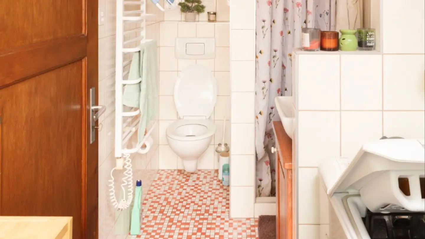 Maison individuelle à vendre - Brignon, 1996 Brignon (Nendaz) - Photo 3