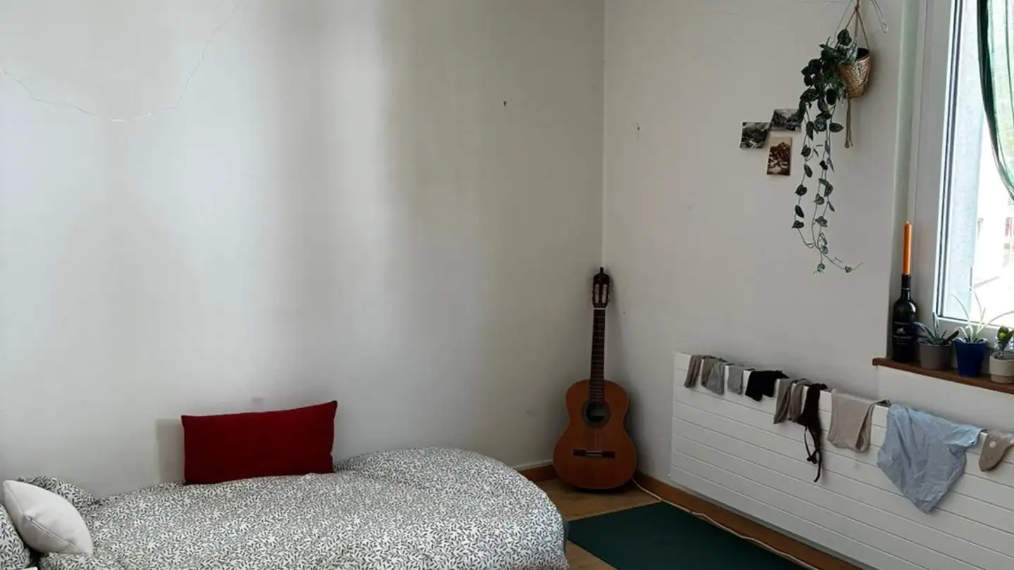 Chambre à louer - Grünaustrasse 10, 8064 Zürich
