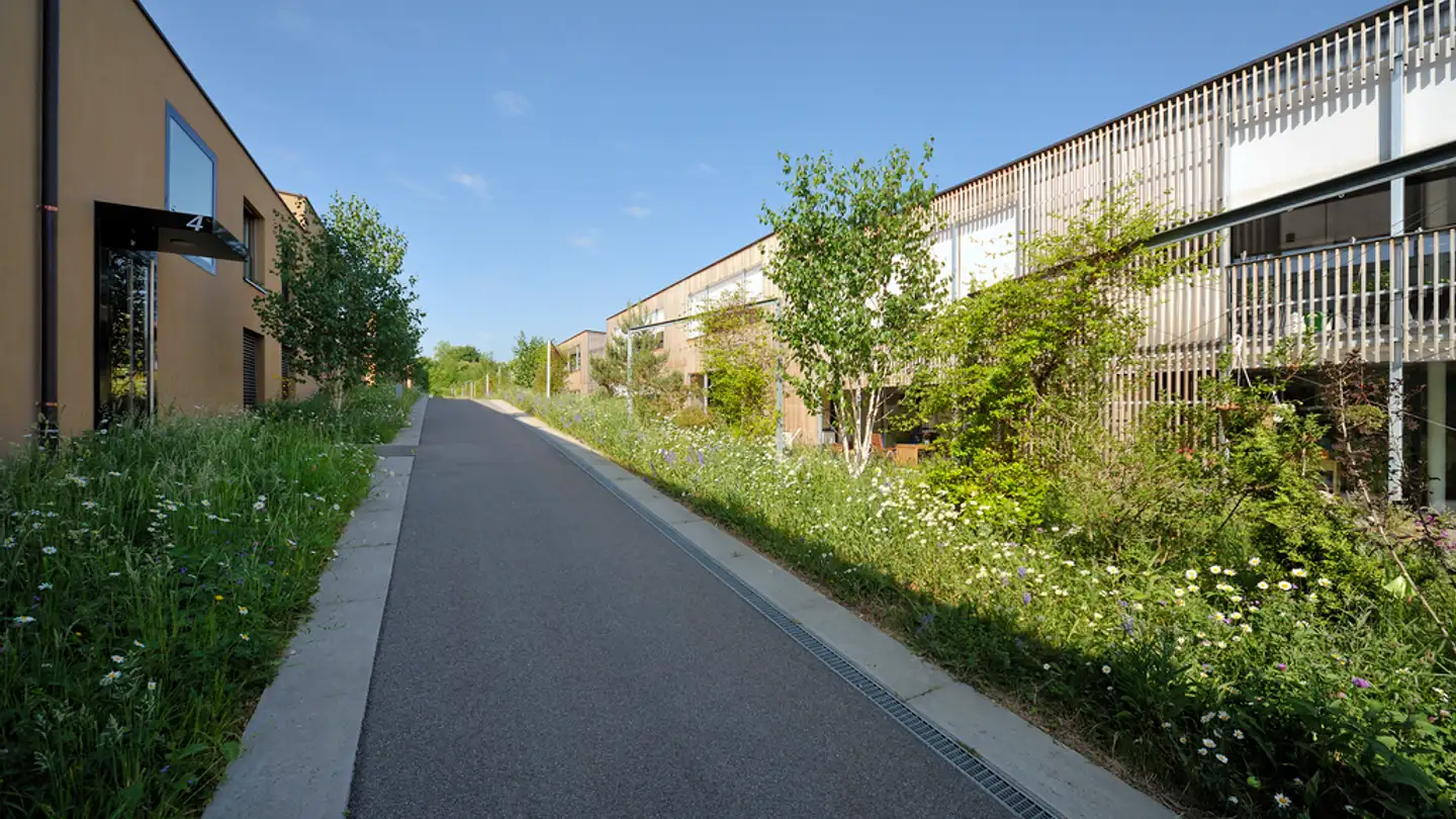 Appartamento in affitto - Belchenring 4, 4123 Allschwil - Foto 3