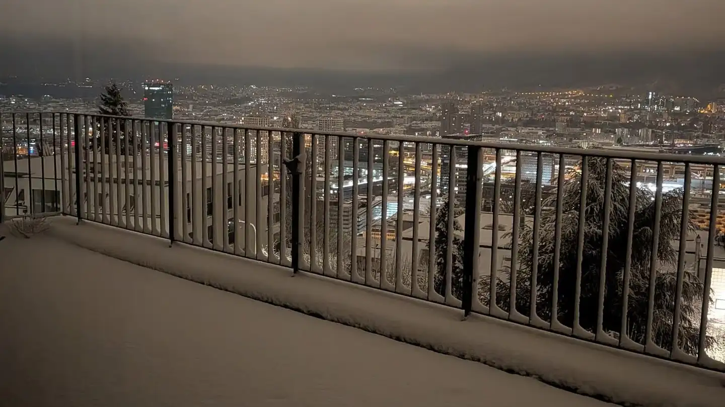 Appartement en terrasse à louer - Wehrlisteig 19, 8049 Zürich