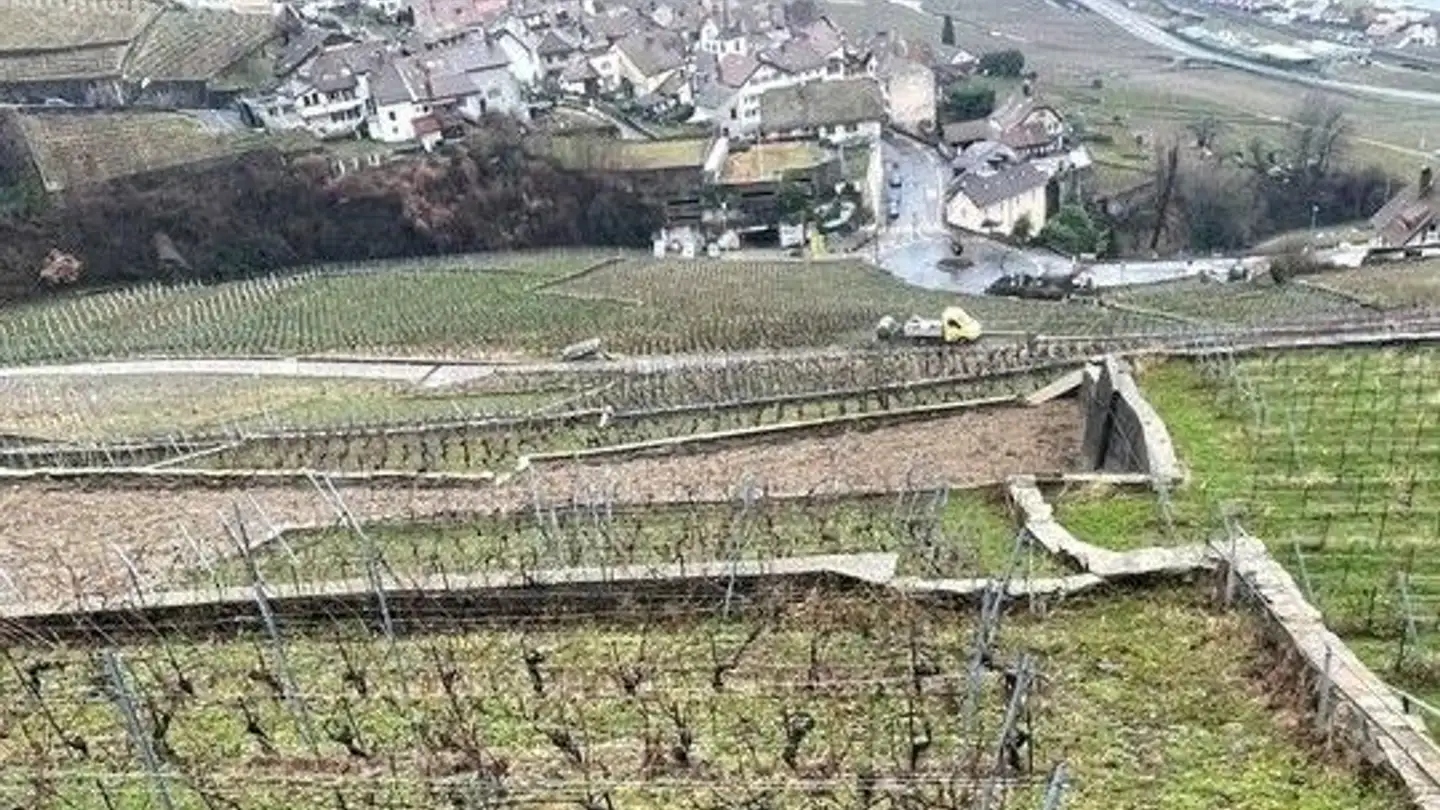 Farm for sale - Chemin De Fossaux, 1071 Chexbres