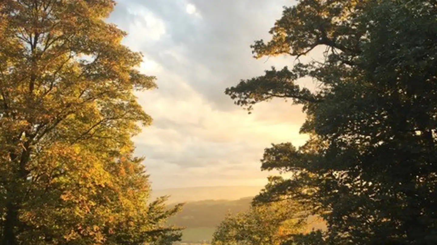 Apartment for rent - 8143 Uetliberg - Photo 4