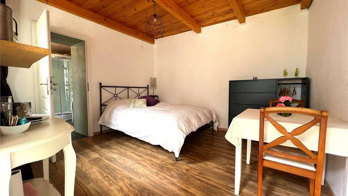 Appartamento ammobiliato in affitto - 6600 Locarno