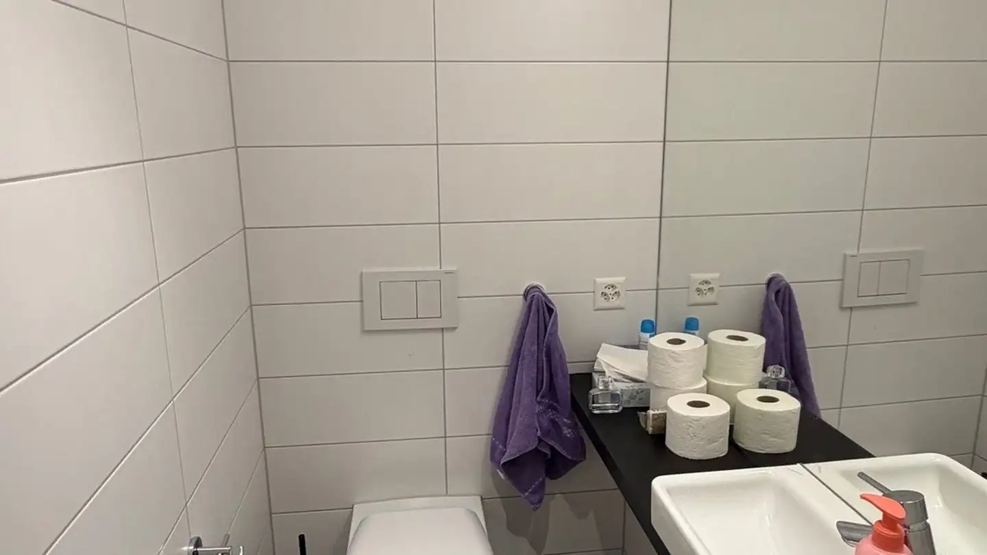 Apartment for rent - Bireggstrasse, 6003 Luzern - Photo 4