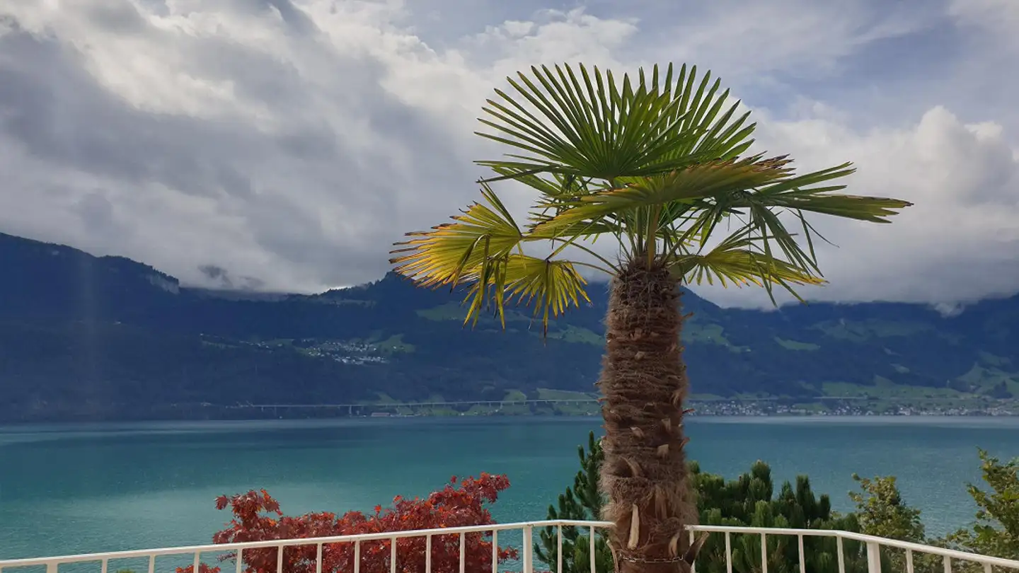 Semi-detached house for rent - Berchtrüti 13, 6442 Gersau