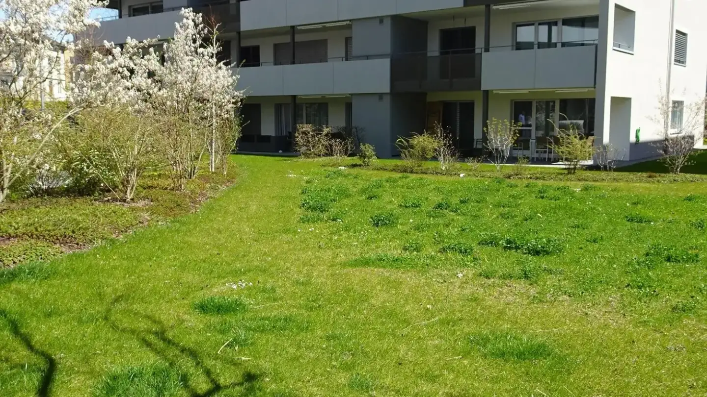 Appartamento in affitto - Fallackerstrasse 2, 8360 Eschlikon TG