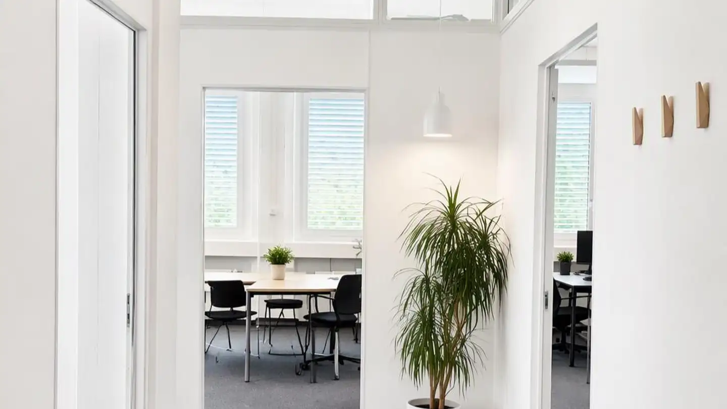 Bürofläche mieten - Soodstrasse 55, 8134 Adliswil - Foto 4