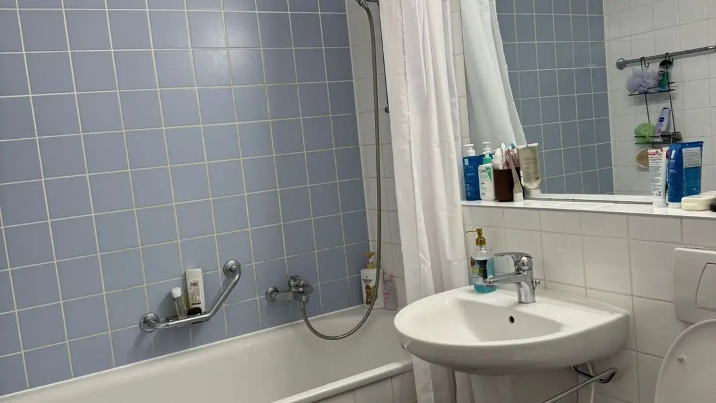 Chambre à louer - Glatttalstrasse 102, 8052 Zürich - Photo 3