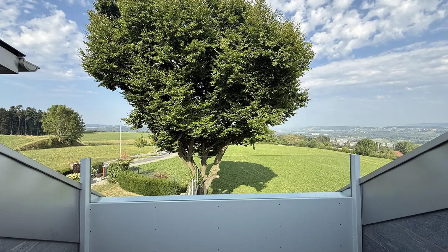Attico in affitto - Hertenstrasse 95, 8500 Frauenfeld