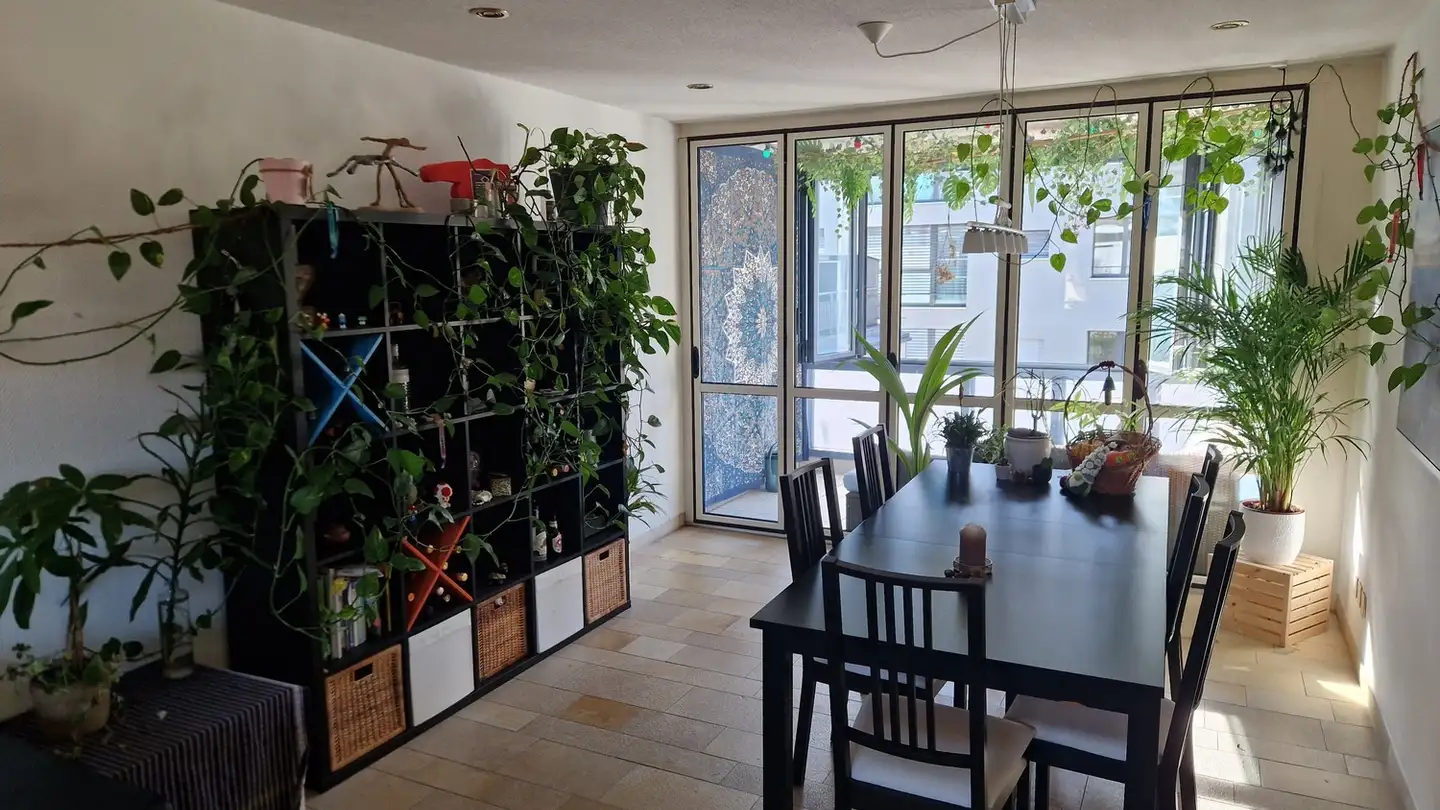 Single room for rent - Mellingerstrasse 126, 5400 Baden