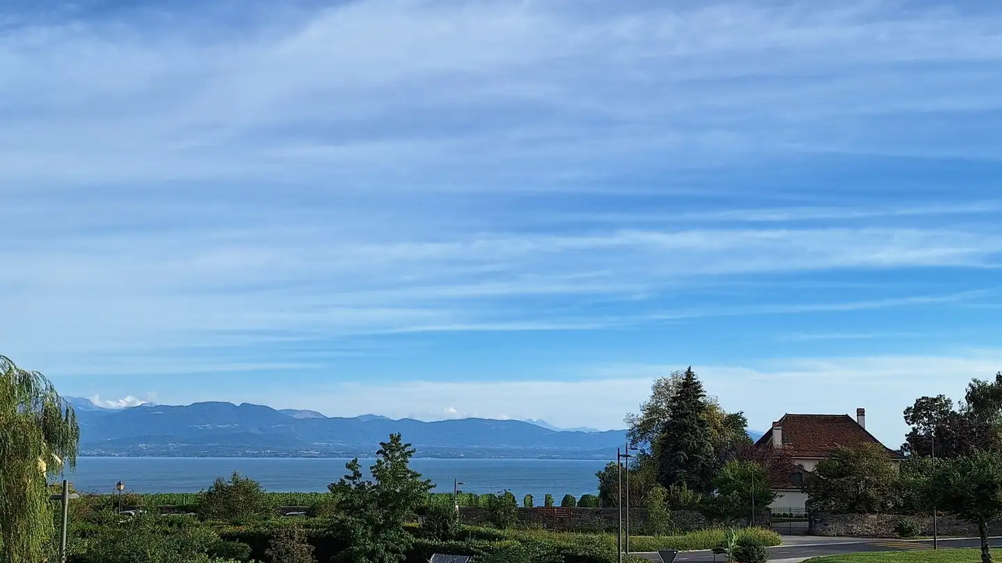 Stanza singola in affitto - 1166 Perroy - Photo 3