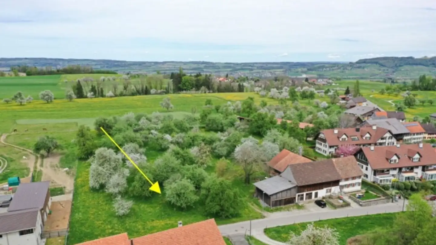 Appartement à vendre - Sunneggstrasse 4, 8514 Amlikon-Bissegg - Photo 3