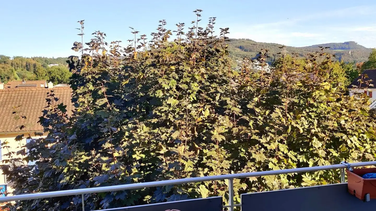 Appartement à louer - Emil Frey-Strasse 175, 4142 Münchenstein