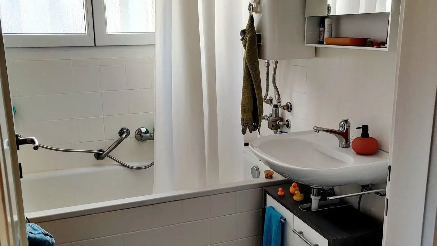 Appartement à louer - Emil Frey-Strasse 175, 4142 Münchenstein - Photo 2