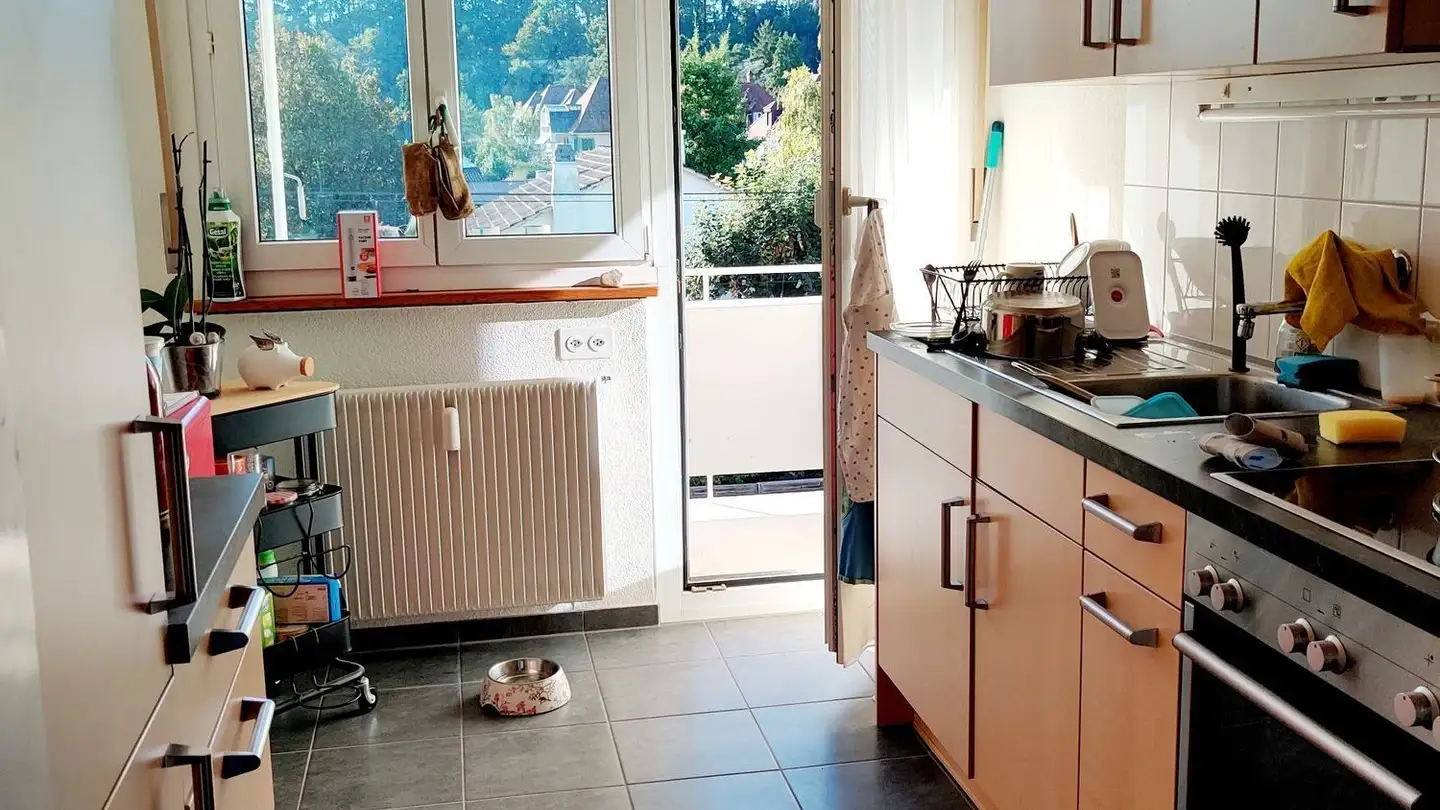 Appartement à louer - Emil Frey-Strasse 175, 4142 Münchenstein - Photo 3