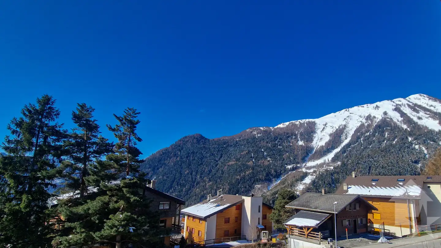 Chalet for sale - 1911 Ovronnaz - Photo 4