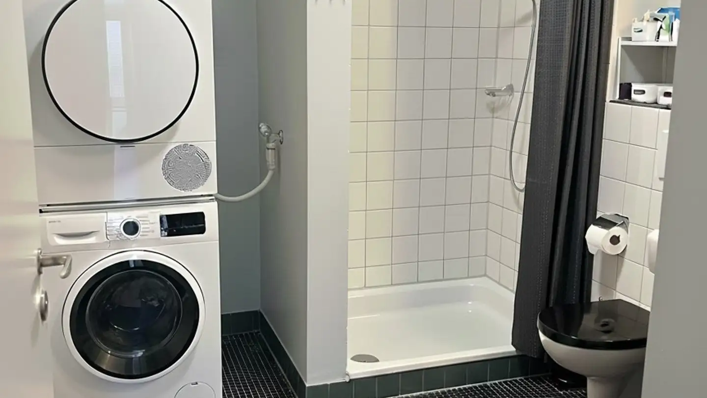 Appartement à louer - Freilagerstrasse 5, 8047 Zürich - Photo 4