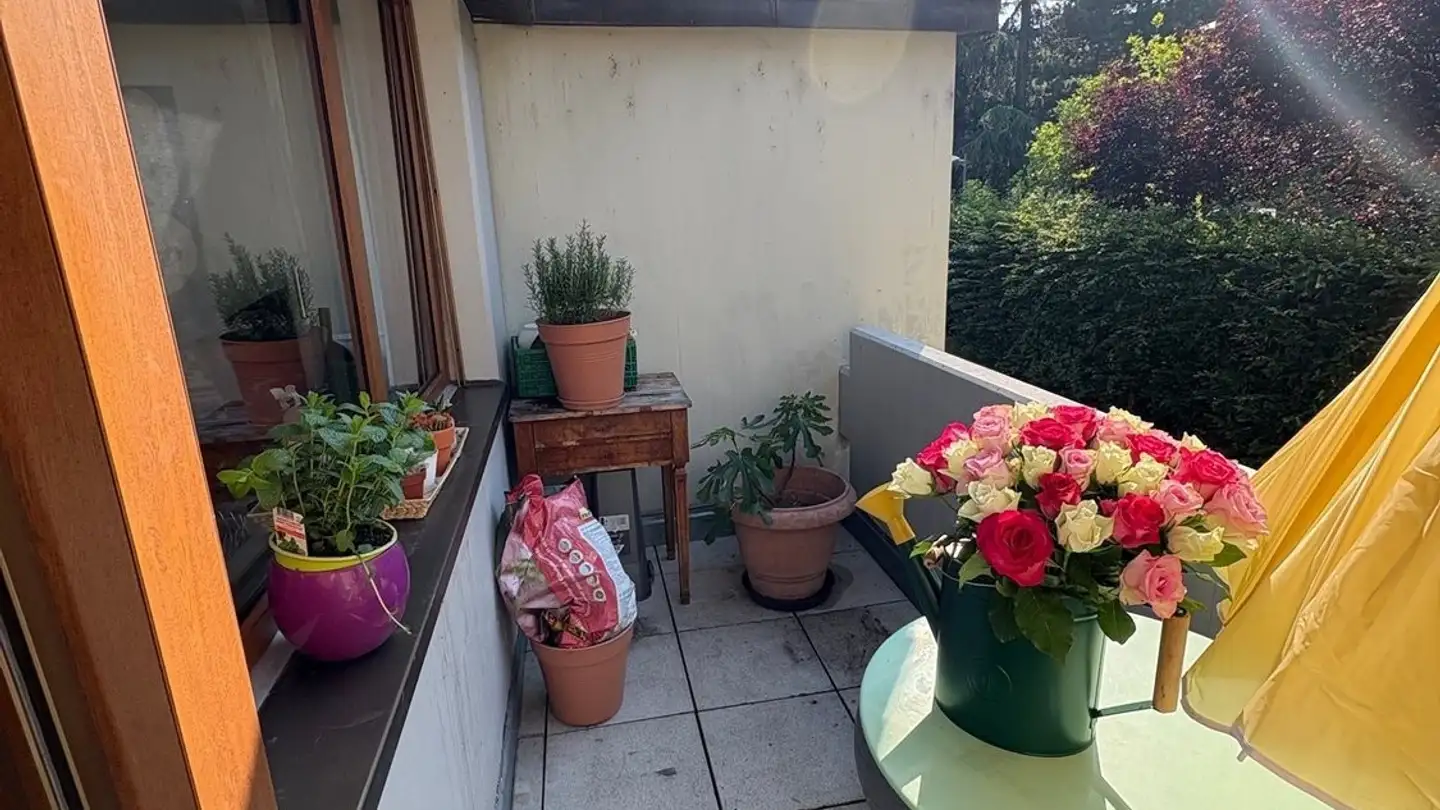 Appartamento in affitto - 1950 Sion - Photo 4