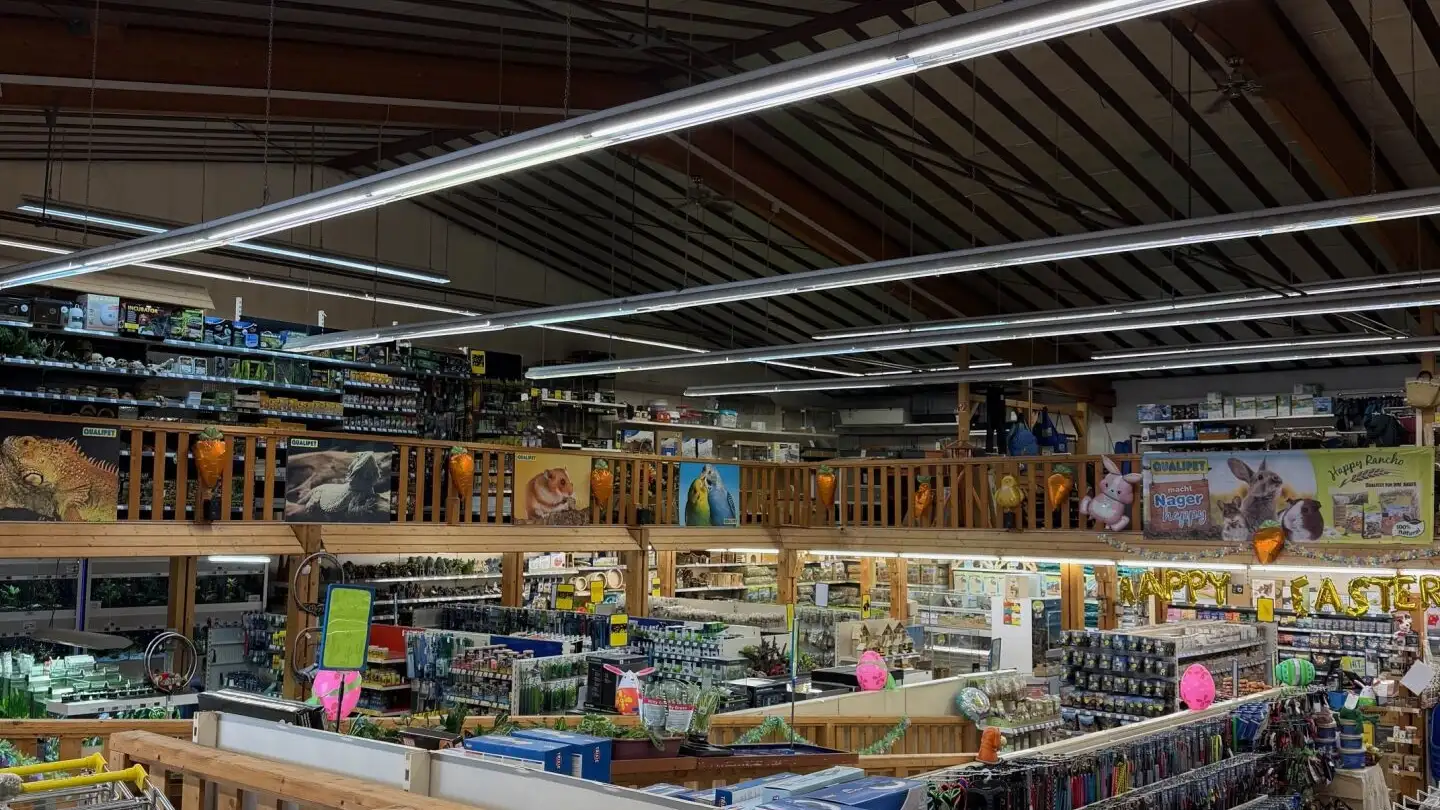 Commercial for rent - Moosmattstrasse 29, 8953 Dietikon - Photo 2