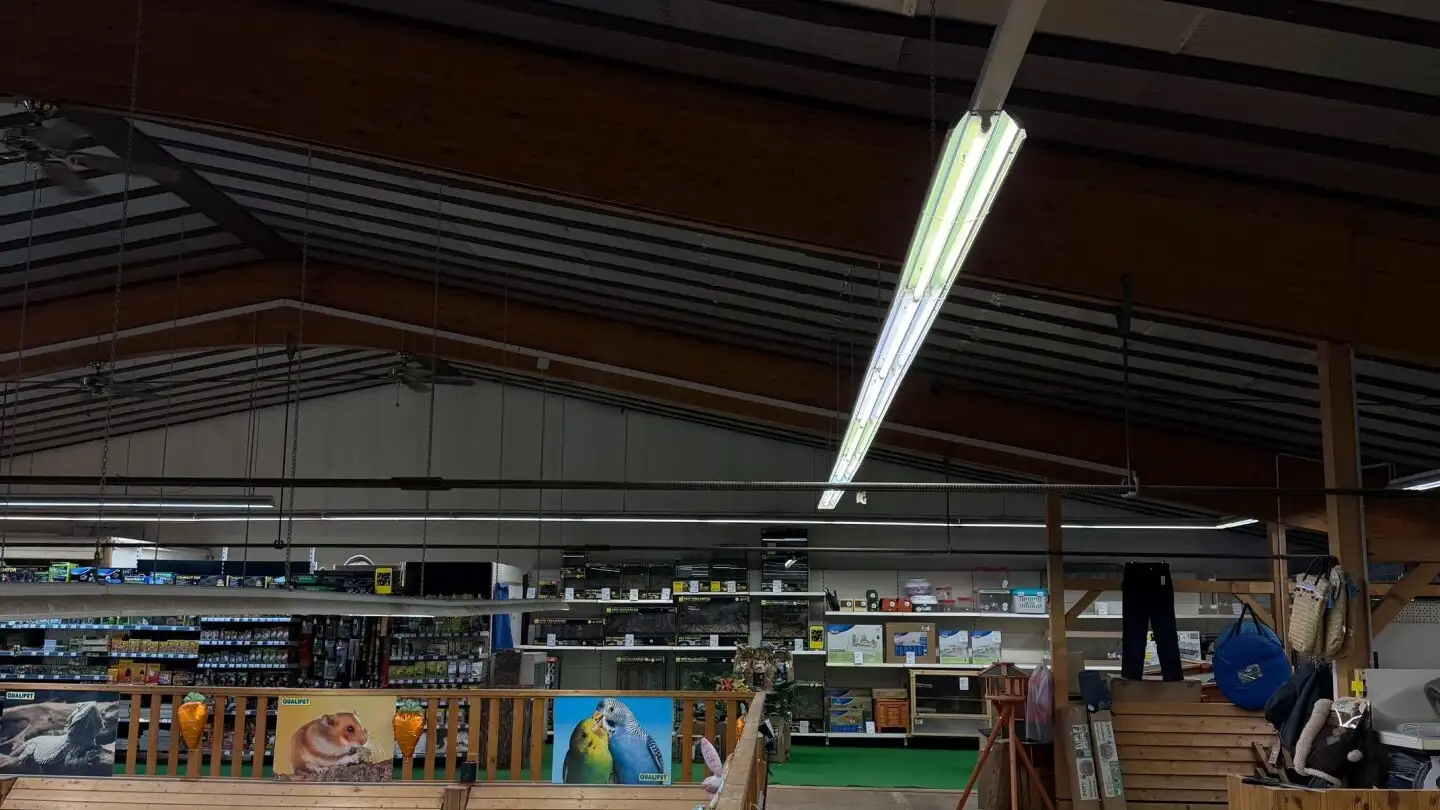 Commercial for rent - Moosmattstrasse 29, 8953 Dietikon - Photo 3