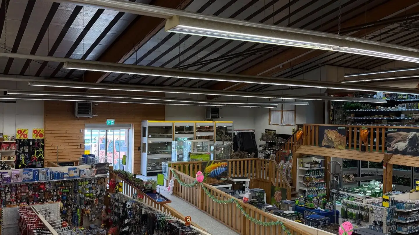 Commercial for rent - Moosmattstrasse 29, 8953 Dietikon - Photo 4