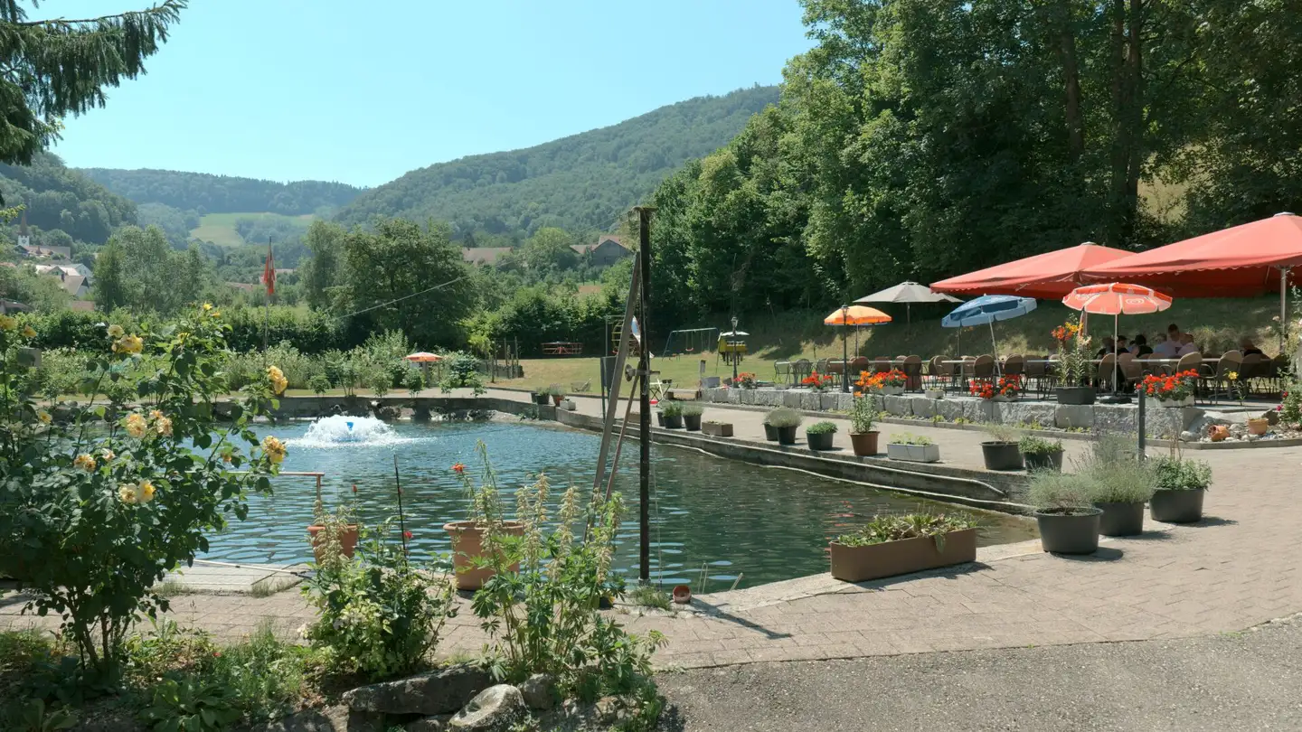 Restaurant à vendre - Wittnauerstrasse 201, 4468 Kienberg - Photo 2